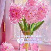 ヒメ日記 2025/04/20 18:51 投稿 まき 甲府人妻隊