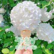 ヒメ日記 2025/05/25 18:32 投稿 まき 甲府人妻隊