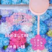 ヒメ日記 2025/05/27 00:13 投稿 まき 甲府人妻隊