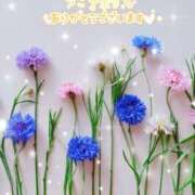 ヒメ日記 2025/06/17 08:47 投稿 まき 甲府人妻隊