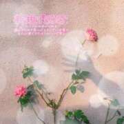 ヒメ日記 2025/06/21 09:35 投稿 まき 甲府人妻隊