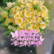 ヒメ日記 2025/07/09 22:17 投稿 まき 甲府人妻隊