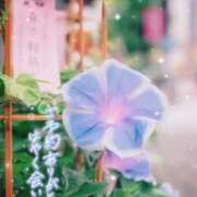 ヒメ日記 2025/07/12 09:52 投稿 まき 甲府人妻隊