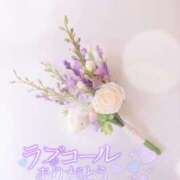 ヒメ日記 2025/07/15 17:20 投稿 まき 甲府人妻隊