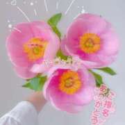 ヒメ日記 2025/08/20 11:42 投稿 まき 甲府人妻隊