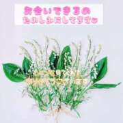 ヒメ日記 2025/08/24 13:03 投稿 まき 甲府人妻隊