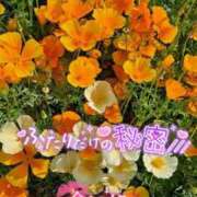 ヒメ日記 2025/09/09 21:01 投稿 まき 甲府人妻隊