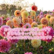 ヒメ日記 2025/09/13 02:35 投稿 まき 甲府人妻隊