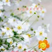 ヒメ日記 2025/09/15 09:57 投稿 まき 甲府人妻隊