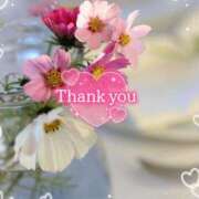 ヒメ日記 2025/09/16 15:21 投稿 まき 甲府人妻隊