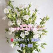 ヒメ日記 2025/09/16 23:55 投稿 まき 甲府人妻隊