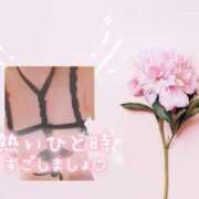 ヒメ日記 2025/09/28 09:43 投稿 まき 甲府人妻隊