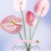 ヒメ日記 2025/10/08 12:47 投稿 まき 甲府人妻隊