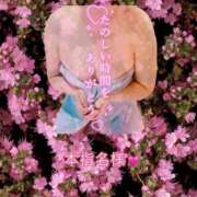 ヒメ日記 2025/10/12 00:53 投稿 まき 甲府人妻隊