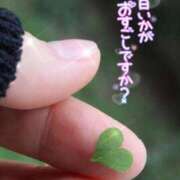 ヒメ日記 2025/10/13 15:21 投稿 まき 甲府人妻隊