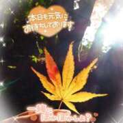 ヒメ日記 2025/10/15 16:26 投稿 まき 甲府人妻隊