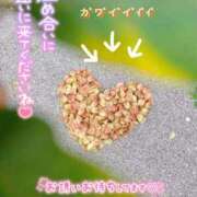 ヒメ日記 2025/10/30 18:37 投稿 まき 甲府人妻隊