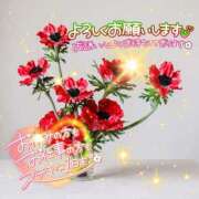 ヒメ日記 2025/11/03 12:16 投稿 まき 甲府人妻隊