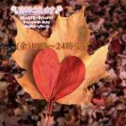 ヒメ日記 2025/11/14 08:30 投稿 まき 甲府人妻隊