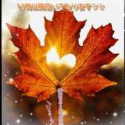 ヒメ日記 2025/11/16 07:45 投稿 まき 甲府人妻隊