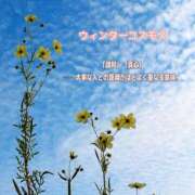 ヒメ日記 2025/11/23 19:02 投稿 まき 甲府人妻隊