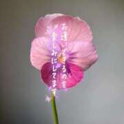 ヒメ日記 2025/11/23 23:01 投稿 まき 甲府人妻隊