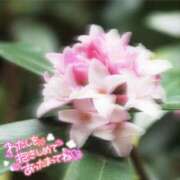 まき 💎(*•̀ᴗ•́*)وよし💎 甲府人妻隊