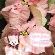 ヒメ日記 2025/12/25 21:04 投稿 まき 甲府人妻隊