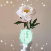 ヒメ日記 2026/01/15 08:36 投稿 まき 甲府人妻隊