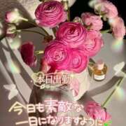 ヒメ日記 2026/01/23 08:15 投稿 まき 甲府人妻隊