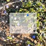 ヒメ日記 2026/02/16 09:15 投稿 まき 甲府人妻隊