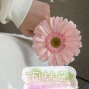 ヒメ日記 2026/02/23 08:45 投稿 まき 甲府人妻隊