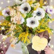 ヒメ日記 2026/03/12 19:45 投稿 まき 甲府人妻隊