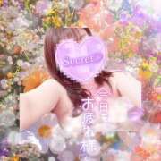 ヒメ日記 2026/03/16 21:31 投稿 まき 甲府人妻隊