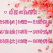 ヒメ日記 2026/03/19 12:05 投稿 まき 甲府人妻隊
