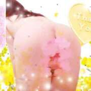 ヒメ日記 2026/04/11 17:15 投稿 まき 甲府人妻隊