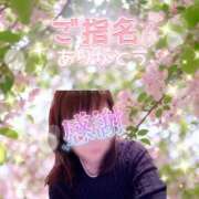 ヒメ日記 2026/05/12 22:02 投稿 まき 甲府人妻隊