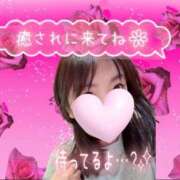 ヒメ日記 2026/06/20 00:00 投稿 まき 甲府人妻隊