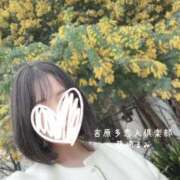 ヒメ日記 2026/04/05 19:49 投稿 藤崎まみ 多恋人倶楽部