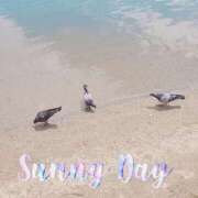 ヒメ日記 2025/06/05 16:08 投稿 ここあ さくらん