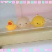 ヒメ日記 2025/06/30 16:15 投稿 ここあ さくらん