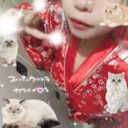 ヒメ日記 2025/09/26 16:45 投稿 ここあ さくらん