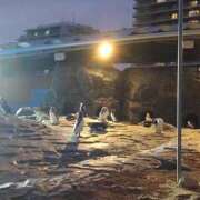 ヒメ日記 2024/12/18 17:33 投稿 りつ ぷるるん小町日本橋店