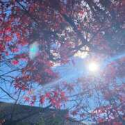 りつ ごめんなさい ぷるるん小町日本橋店