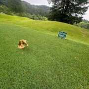 ヒメ日記 2025/06/23 07:20 投稿 みなの マリアージュ熊谷