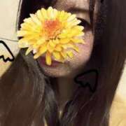 ヒメ日記 2024/12/13 14:47 投稿 あんな 三つ乱本館