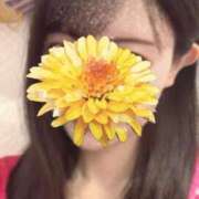 ヒメ日記 2024/12/28 10:47 投稿 あんな 三つ乱本館