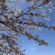 ヒメ日記 2025/04/12 19:17 投稿 あんな 三つ乱本館