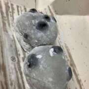 ヒメ日記 2025/04/12 22:07 投稿 あんな 三つ乱本館