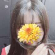 ヒメ日記 2025/05/04 13:47 投稿 あんな 三つ乱本館